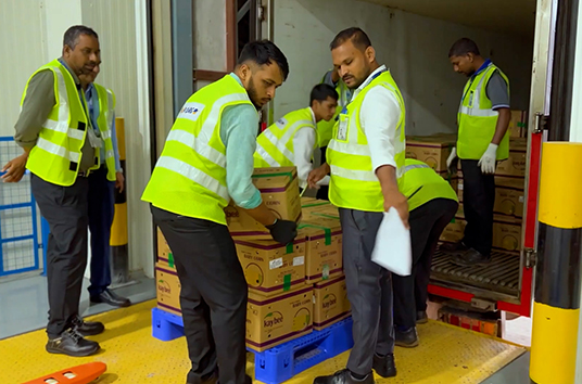 Specialized-cargo-handling