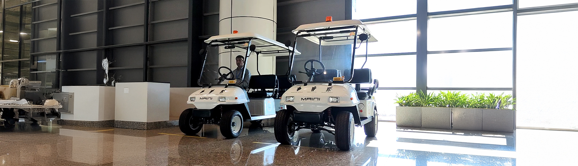 Buggy Services