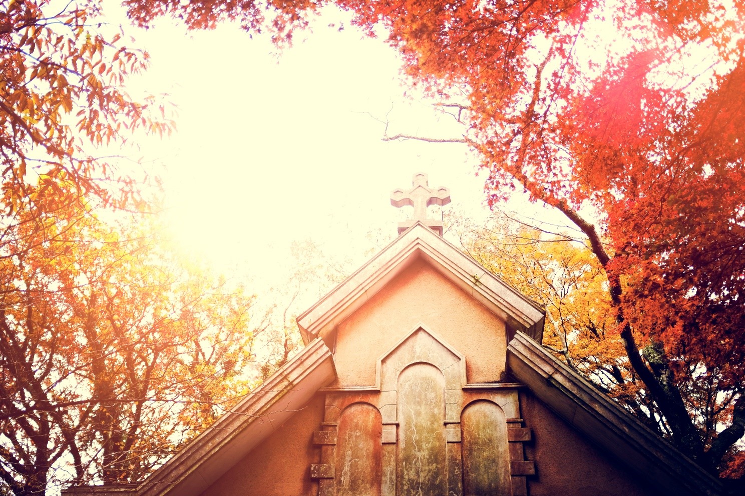 Old Goa Church